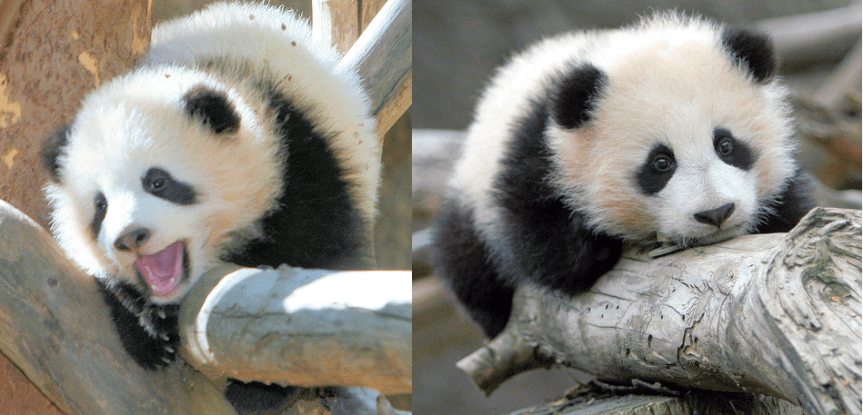 Boston Training:  Excitement Meets&nbsp;Self-Doubt